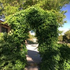 Meet your Posher, Joellen